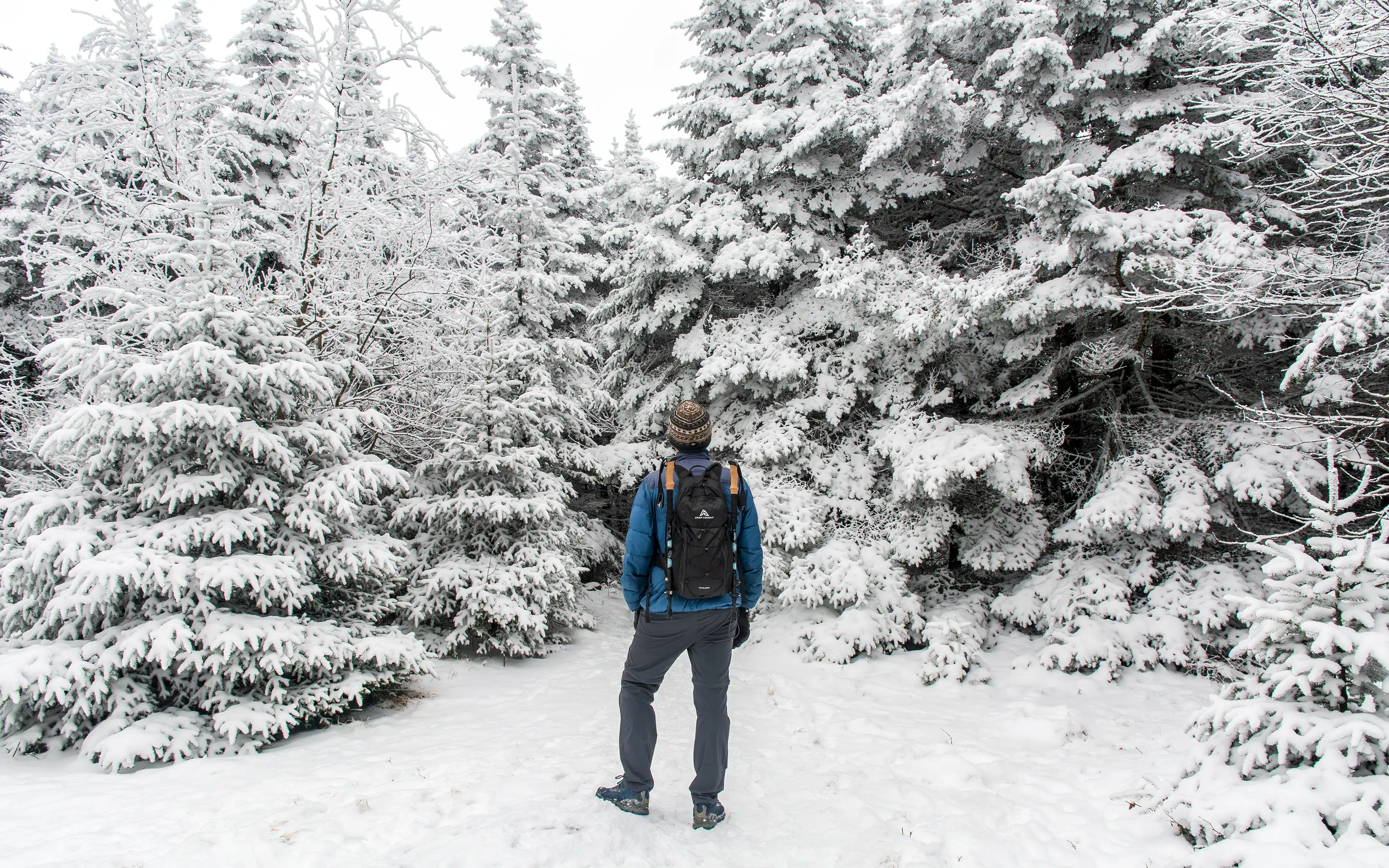 A male hiker standing in front of snow covered trees on Balsam Lake Mountain in New York wearing the Ancash Packable Daypack by Deep Ascent.