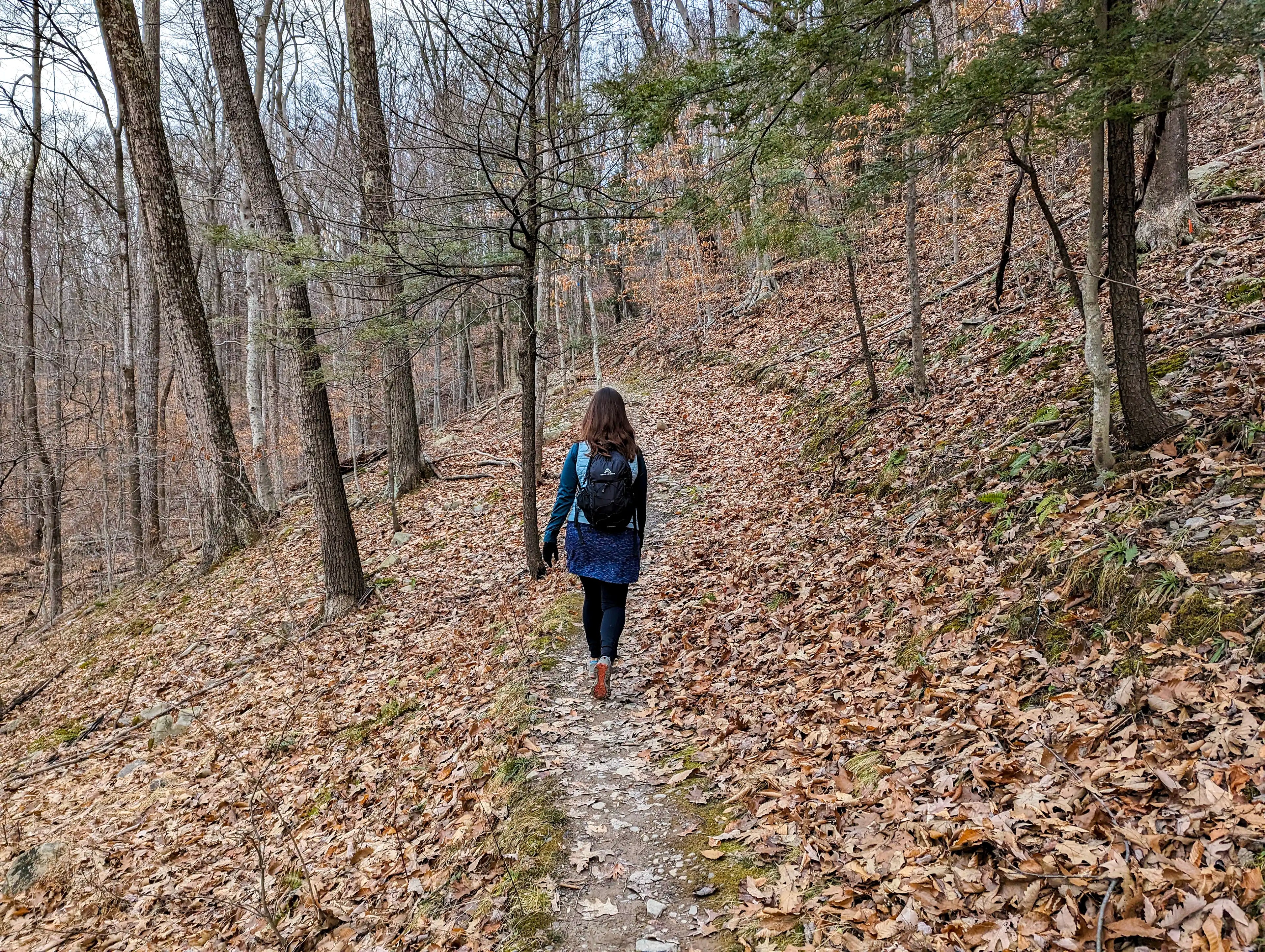 A female hiker on a trail behind the Catskills Visitor Center in New York wearing the Ancash Packable Daypack by Deep Ascent.