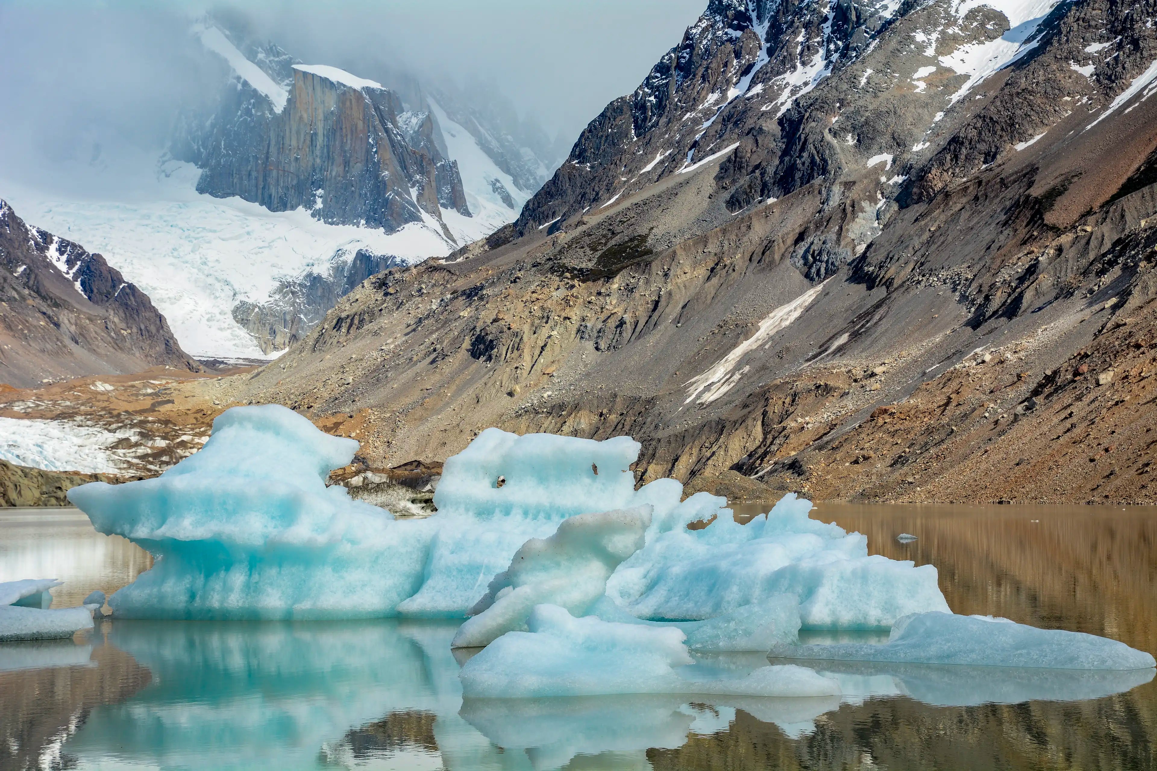 Ice floating on Laguna Torre in El Chaltén, Argentina.