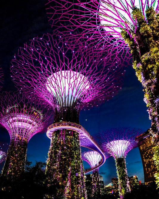 Supertree Grove | Gardens by the Bay, Singapore